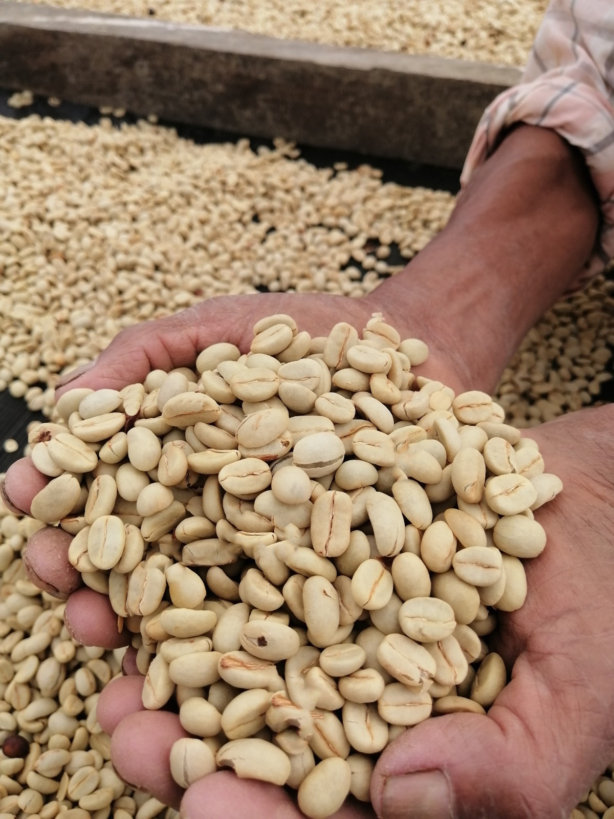 Come and Discover Our Cafe