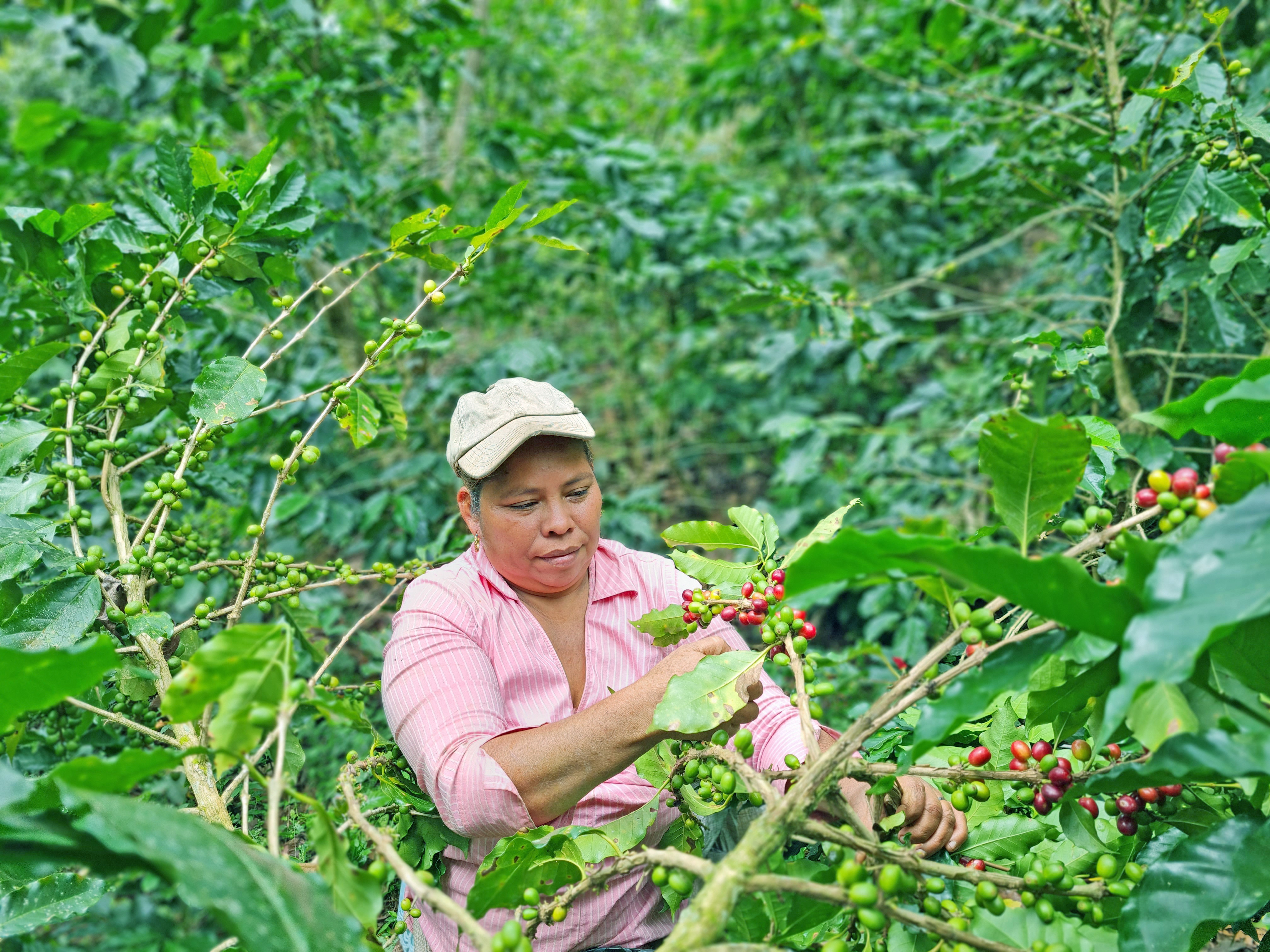 Secrets of Delicious Coffee