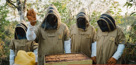 Secrets of Delicious Coffee