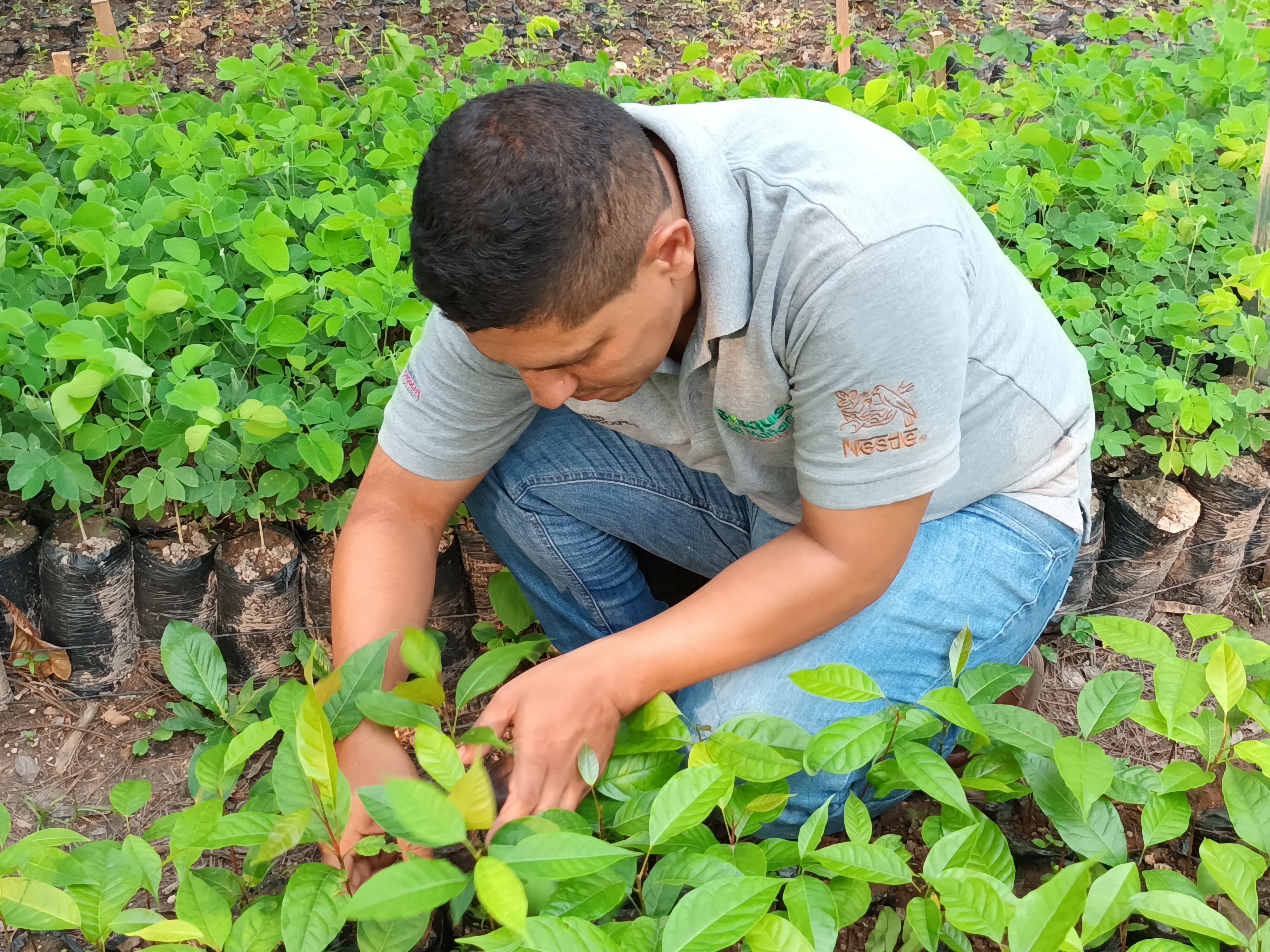 Top 5 Desserts Worth Trying